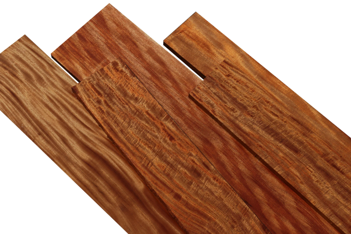 African Mahogany