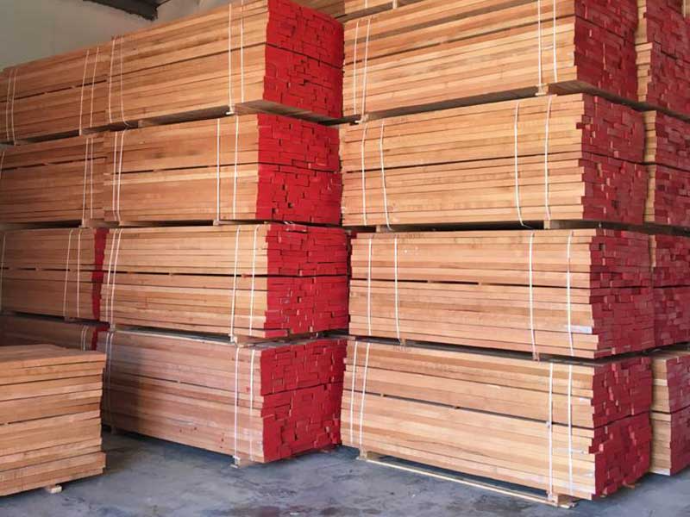 Red Meranti
