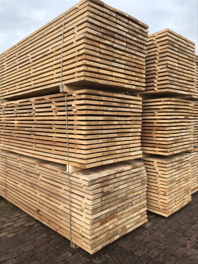 European Oak
